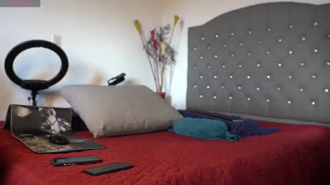 Snapshot of mrlouiss chatting on 02.15.25 Luis Instagram online show from 02.15.25