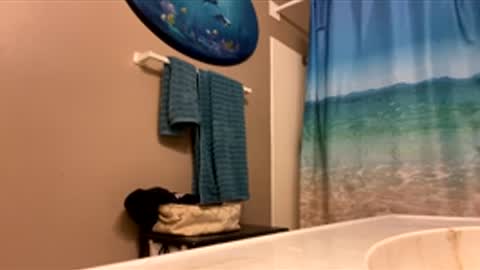 James online show from 02.03.26