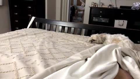 Snapshot of mrrogue chatting on 11.01.25 mrrogue online show from 11.01.25