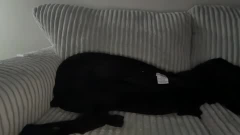 Snapshot of mrryanvoss chatting on 12.30.24 Mr Ryan Voss online show from 12.30.24