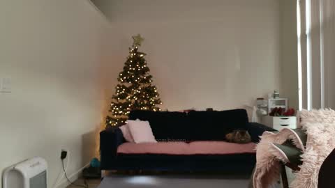 Snapshot of ms_mochii chatting on 02.12.26 R o r i SnapChat heyroriv2 wednesday - sunday Noon oclock mountain - 5pm mountain online show from 02.12.26