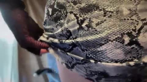 Snapshot of mskarentoy chatting on 10.06.25 mskarentoy online show from 10.06.25