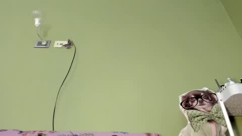 MsPurrfectLove online show from 02.02.25