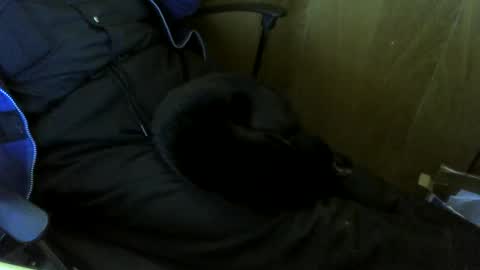 muller520 online show from 10.29.25