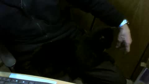 muller520 online show from 02.10.26