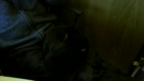 muller520 online show from 03.18.26