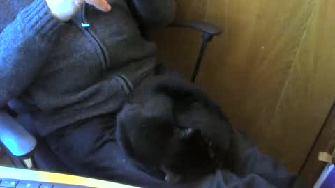 muller520 online show from 04.13.26