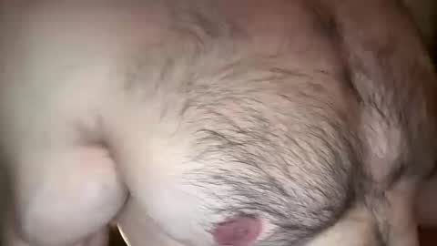 musclehair3 online show from 03.11.26