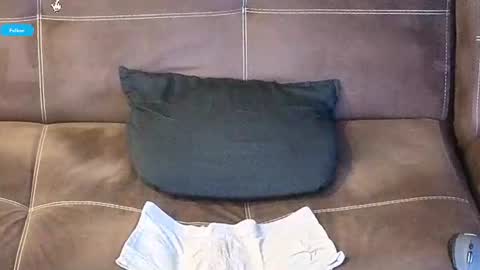 Snapshot of mushroomcouch chatting on 06.15.26 mushroomcouch online show from 06.15.26