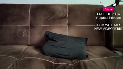 Snapshot of mushroomcouch chatting on 06.27.26 mushroomcouch online show from 06.27.26