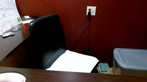 LA MARIPOSA DE MARICOPA online show from 11.01.25