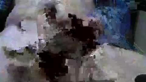 mycock594498 online show from 01.09.25