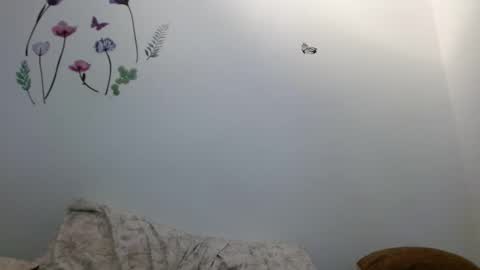 Snapshot of nahomy_gree chatting on 02.06.26 nahomy_gree online show from 02.06.26