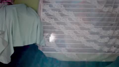 NAJI  online show from 01.17.26