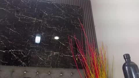 NALAROY online show from 01.10.25