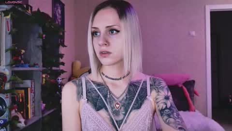 Monday-Friday 12-4 AM and 6-9 AM New York time online show from 02.08.26