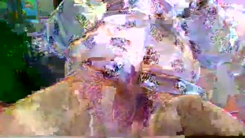 nano527 online show from 02.12.26