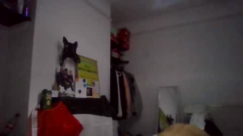 NarcoMarco online show from 11.11.25