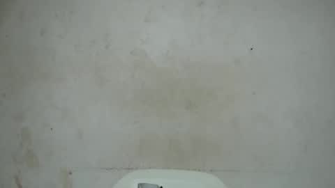 Snapshot of nastyhairy7 chatting on 10.29.25 nastyhairy7 online show from 10.29.25