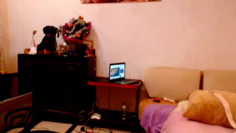 natali online show from 12.24.24