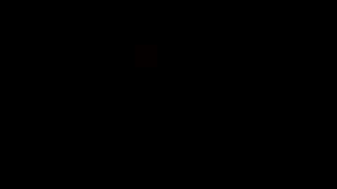 Haven online show from 01.14.26