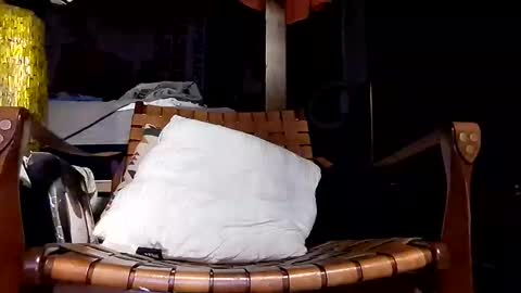 Haven online show from 04.20.26