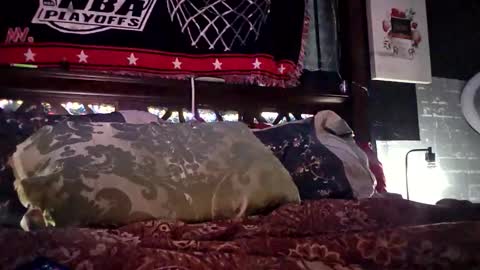 Haven online show from 04.22.26