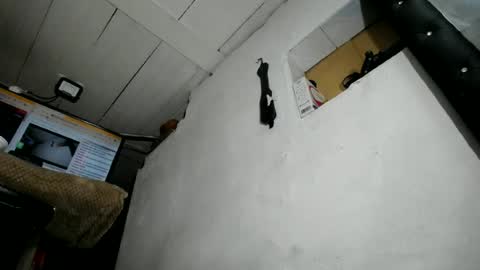 Snapshot of nattasha_foxx chatting on 06.23.26 natalia online show from 06.23.26