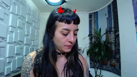 Kitten online show from 12.26.24