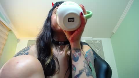 Kitten online show from 01.12.25
