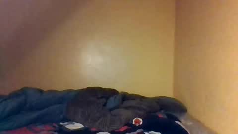 Bree doll online show from 04.26.26