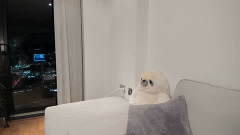 Gigi Chu  online show from 01.16.25