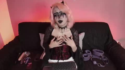 Navier  online show from 01.12.26