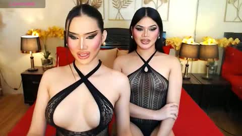 F R A N Z I A online show from 02.13.26