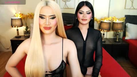 F R A N Z I A online show from 03.21.26