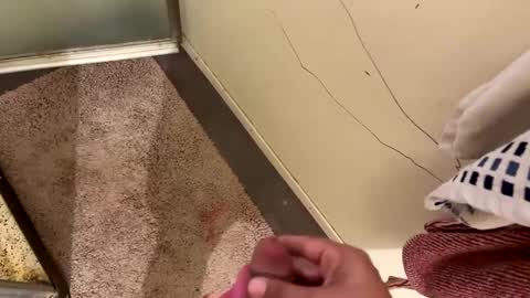 Snapshot of nbarrie98 chatting on 12.07.24 nbarrie98 online show from 12.07.24