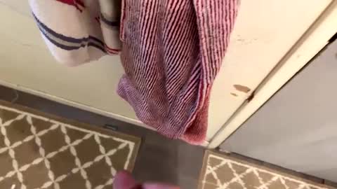 Snapshot of nbarrie98 chatting on 02.09.25 nbarrie98 online show from 02.09.25