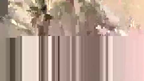 Snapshot of ndsckd chatting on 09.12.25 ndsckd online show from 09.12.25