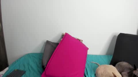 Nei turn green online show from 09.22.25