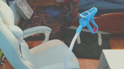 NekoKittenz online show from 02.25.26