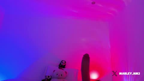 xd online show from 12.14.25