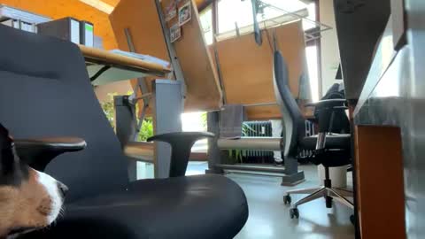 neneo21_ online show from 01.13.25