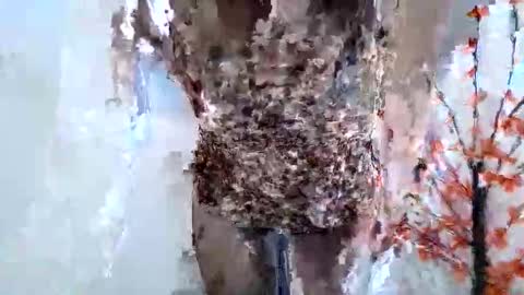 Crystal New online show from 01.15.26