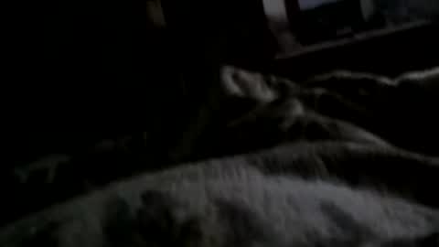 Snapshot of neverseentthatb4 chatting on 12.11.24 Matt online show from 12.11.24