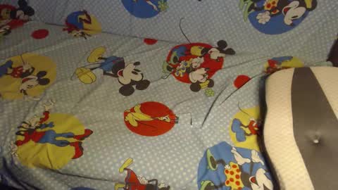 Lilly  online show from 10.25.25