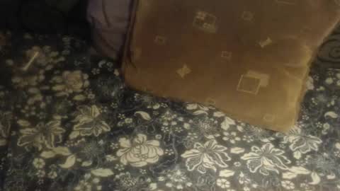 Lilly  online show from 11.28.25