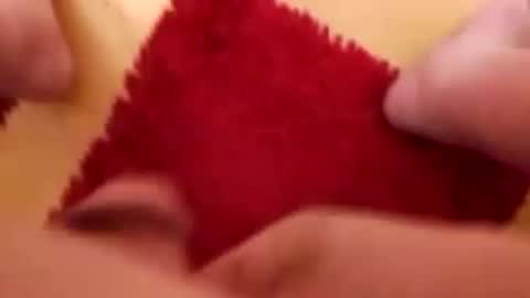 BookWriter online show from 12.08.24