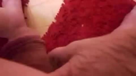 BookWriter online show from 01.08.25