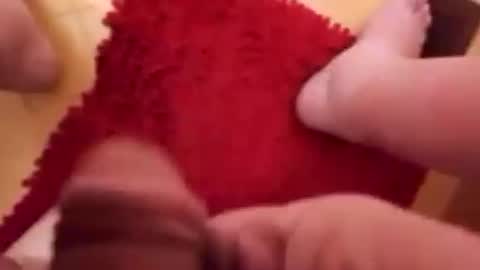 BookWriter online show from 01.22.25