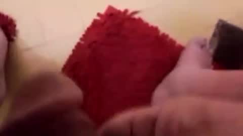 BookWriter online show from 02.12.25